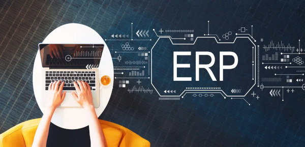 ERP development